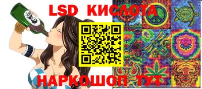гидропоника Камышлов