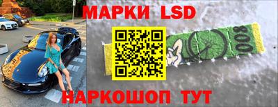 гидропоника Камышлов