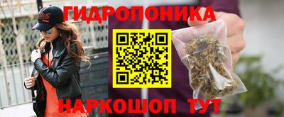 гидропоника Камышлов