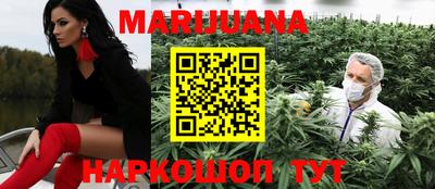гидропоника Камышлов