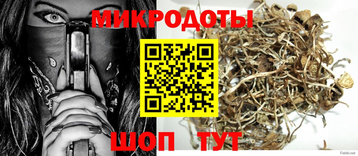 Лабытнанги  Псилоцибиновые грибы Magic Shrooms  Вход с VPN 
