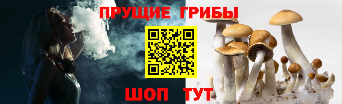 Галлюциногенные грибы MAGIC MUSHROOMS Лабытнанги